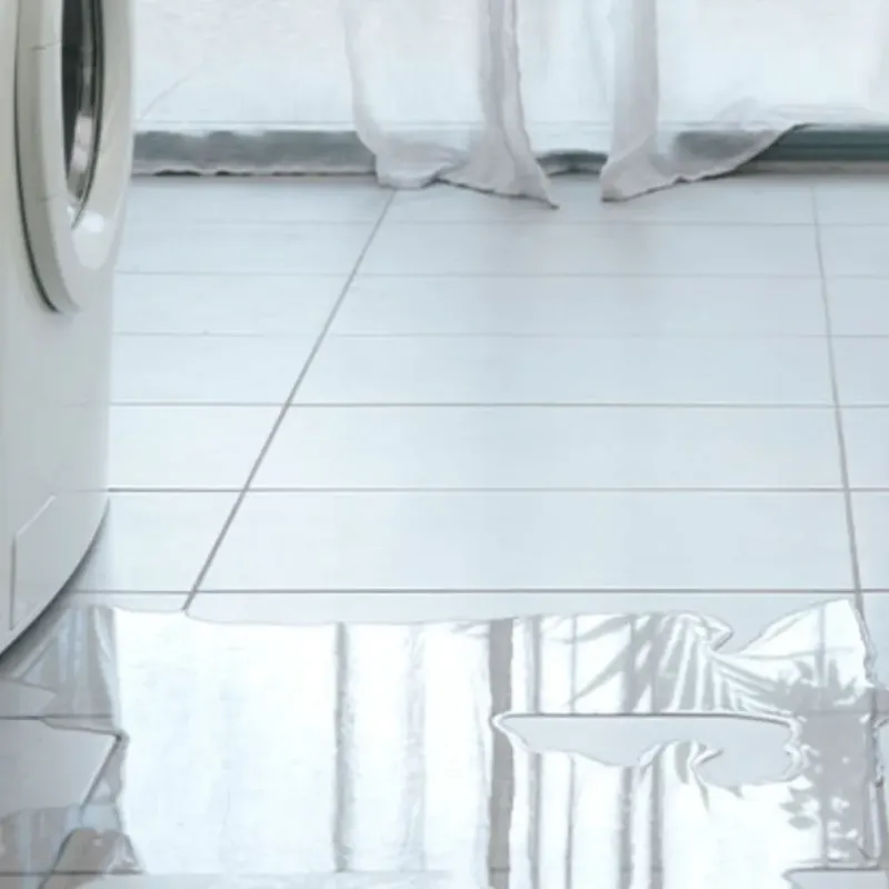 Appliance Leak Cleanup in Whatcom County, WA