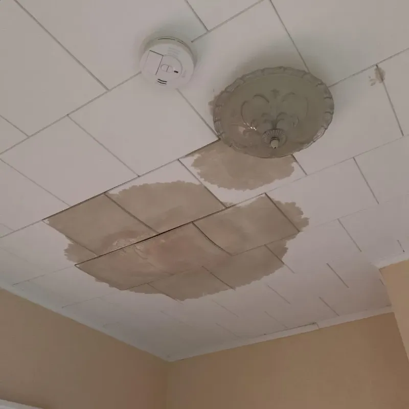 Ceiling Water Damage Repair in Whatcom County, WA