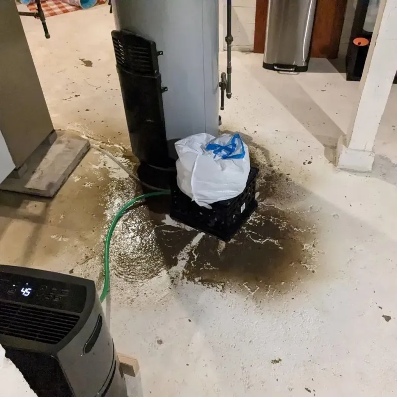 Sewage Backup Cleanup Service in Whatcom County, WA